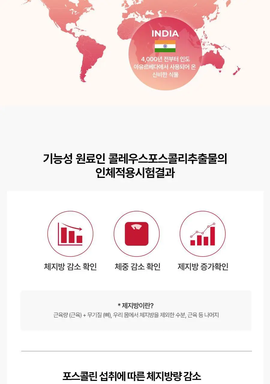 [헬로키티콜라보] 콜레올로지 PRO 600mg*30/60정 단품/기획(+키링증정) 상세페이지 32